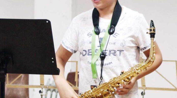 Ensino especializado: uma aposta na aptidão ou talento artístico dos alunos