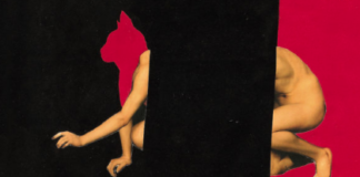 Electricidade Estética prepara “Gato Vermelho”