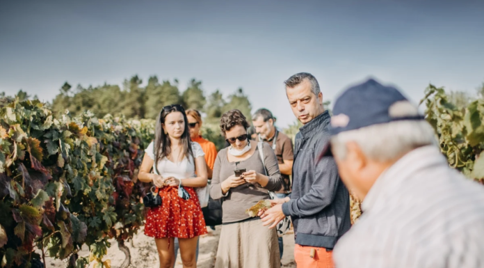 Turismo Centro de Portugal apresentou guia de enoturismo e gastronomia