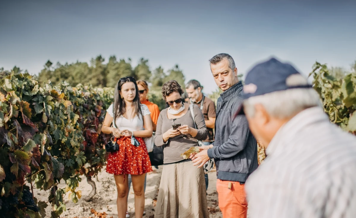 Turismo Centro de Portugal apresentou guia de enoturismo e gastronomia