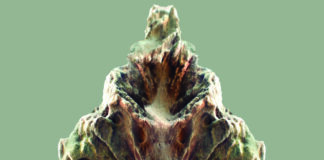 Inês Ferreira-Norman expõe na Galeria do Espaço Turismo