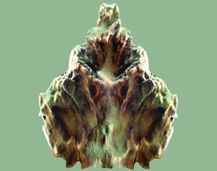 exposicao_setembro_cartaz_web