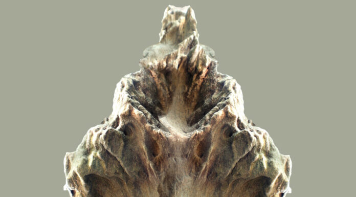 Inês Ferreira-Norman expõe na Galeria do Espaço Turismo