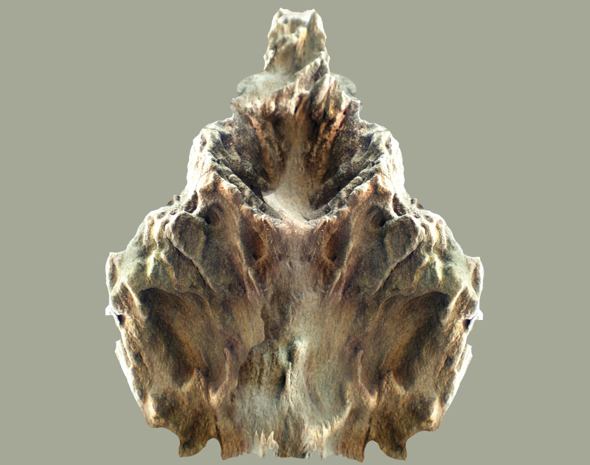 Inês Ferreira-Norman expõe na Galeria do Espaço Turismo