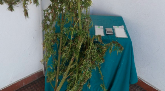 Detido por tráfico de estupefacientes em Ferrel