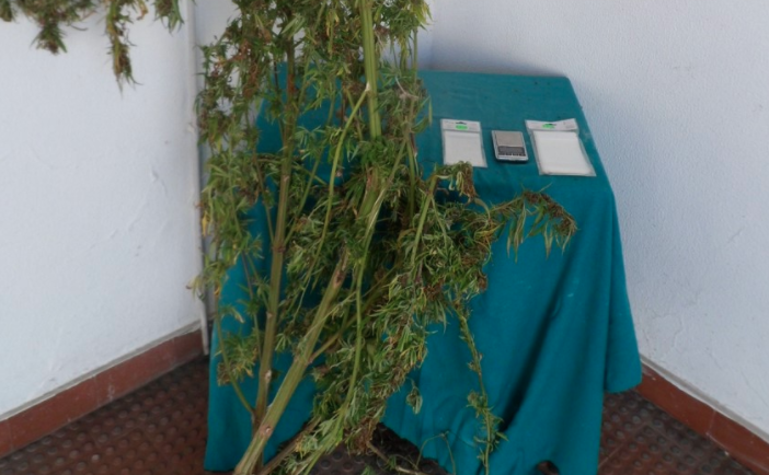 Detido por tráfico de estupefacientes em Ferrel