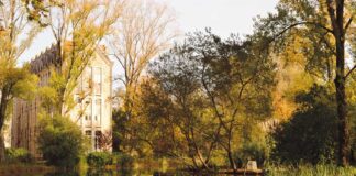 Caldas da Rainha: Parque recebe sensibilização ambiental no dia 27