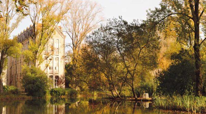 Exposição: João Donato expõe sobre Cabo Delgado no Parque