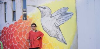 Colibris coloridos em pintura mural decoram Silos