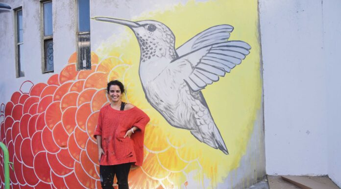 Colibris coloridos em pintura mural decoram Silos