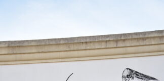 Filipa Morgado finaliza intervenção sobre Ferreira da Silva