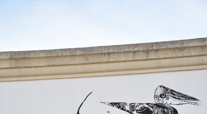 Filipa Morgado finaliza intervenção sobre Ferreira da Silva