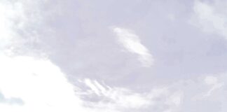 Concelho de Óbidos já tem um tuk tuk em circulação