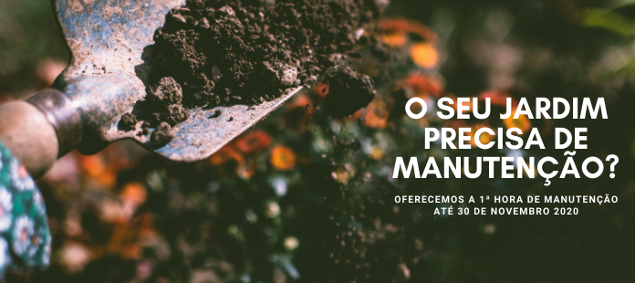 A Bota Verde nasce na vila da Benedita