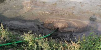 GNR investiga descarga no rio Baça