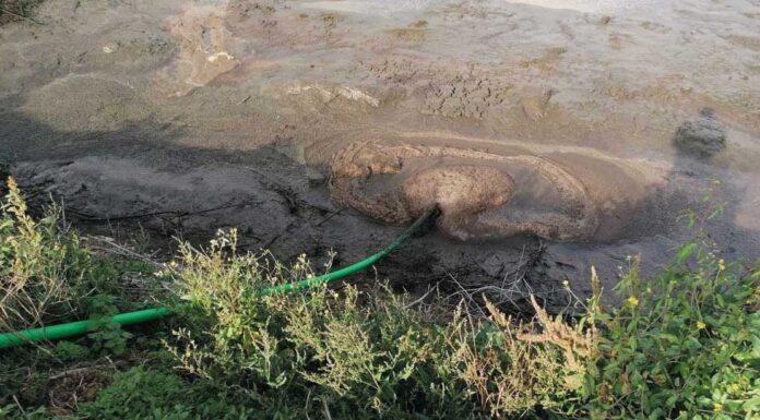 GNR investiga descarga no rio Baça