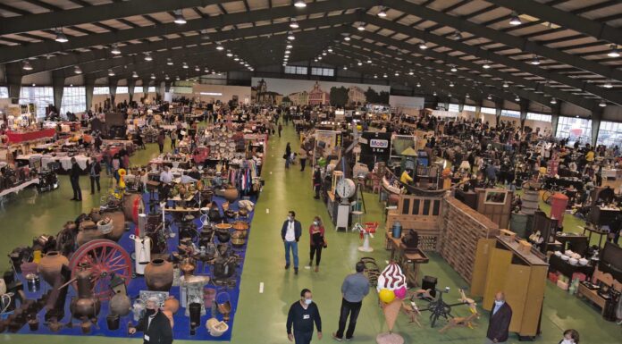 Adiada feira das Velharias e Antiguidades na Expoeste