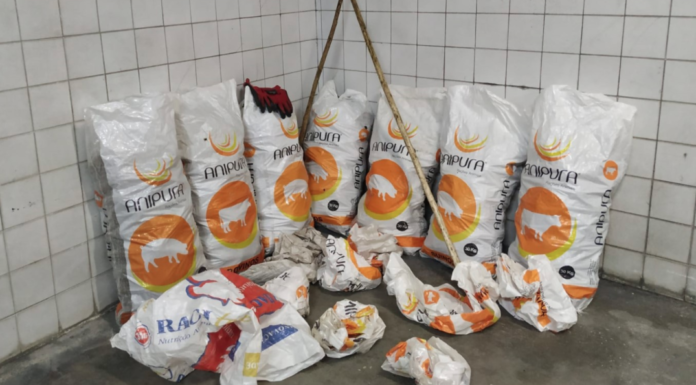 Três detidos por furto de 196 quilos de pinhas em Óbidos