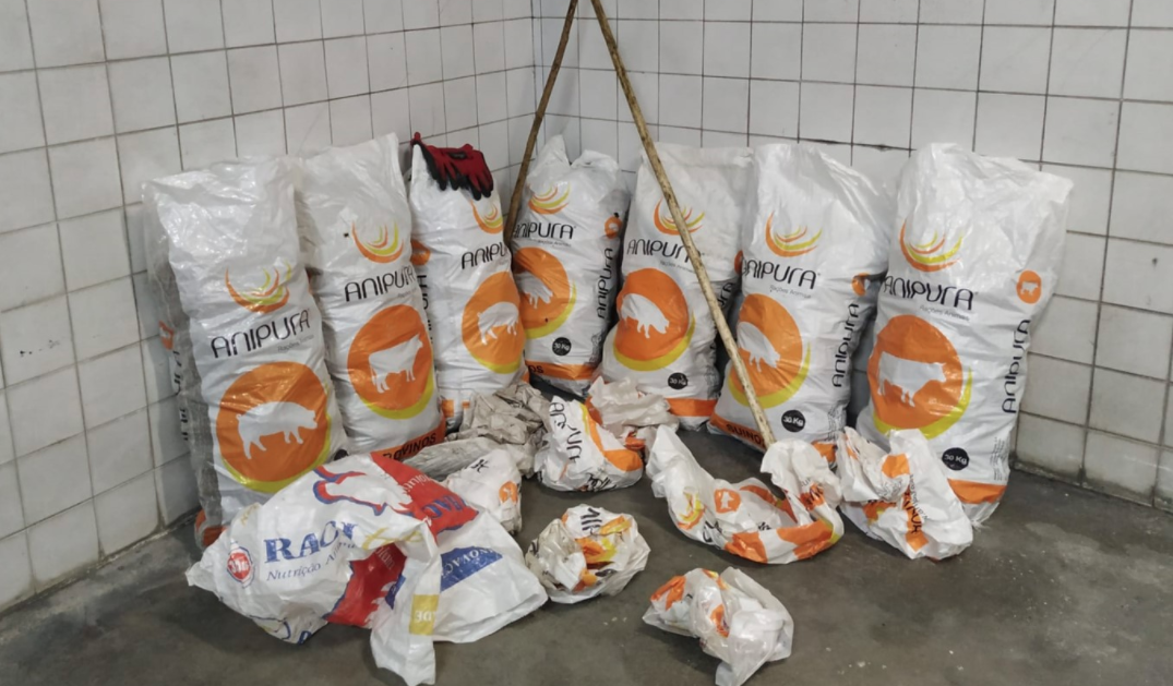 Três detidos por furto de 196 quilos de pinhas em Óbidos