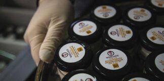 Sorvetes de aguardente da Lourinhã já foram lançados