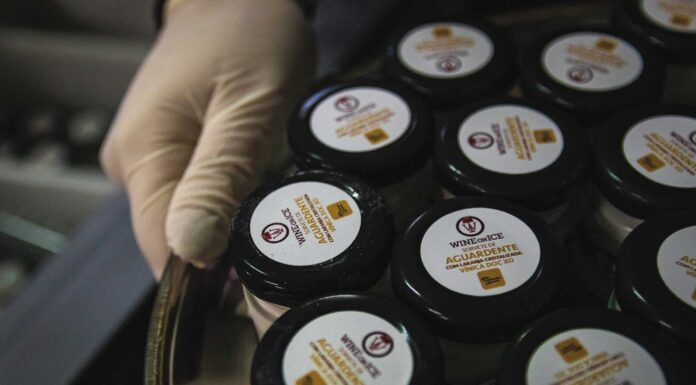 Sorvetes de aguardente da Lourinhã já foram lançados