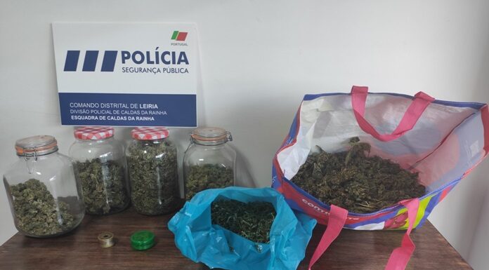 Homem detido com mais de 2500 doses de cannabis