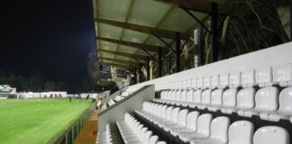 Renovação da Mata deverá estar concluída em 2021