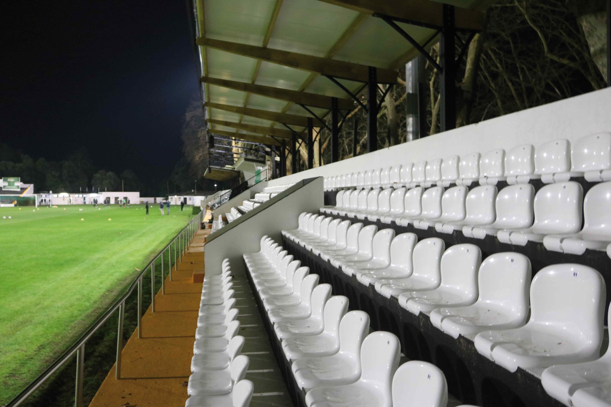 Renovação da Mata deverá estar concluída em 2021