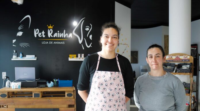 PetRainha – nova loja para os amigos de quatro patas