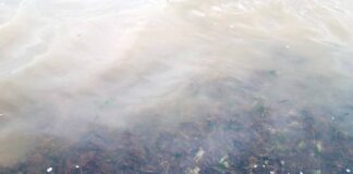 Mau cheiro na Lagoa preocupa comissão cívica