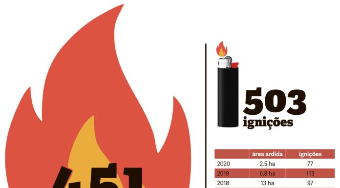 Com 2,5 hectares ardidos, 2020 é ano de mínimos nos incêndios no concelho