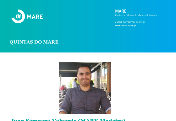 Estruturas de defesa costeira em foco nas Quintas do Mare