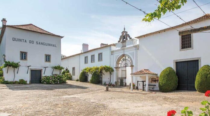 Bombarral: Quinta do Sanguinhal realiza mercado local
