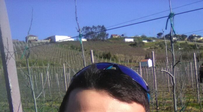 Caldense é o melhor jovem agricultor de Portugal