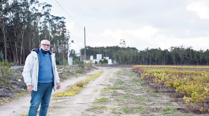 Uso de pesticidas junto a captações de água preocupa comissão
