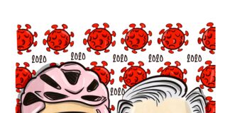 O ano de 2020 em revista