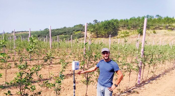 Caldense é o melhor jovem agricultor de Portugal