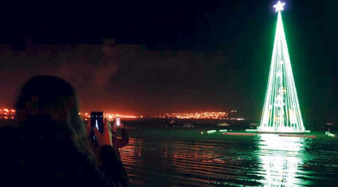 Junta suspende árvore flutuante na baía de São Martinho