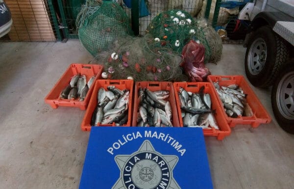 Apreendidos 60 quilos de pescado em São Martinho do Porto