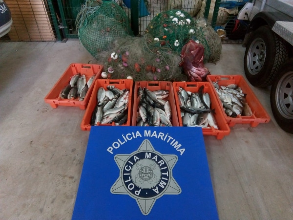 Apreendidos 60 quilos de pescado em São Martinho do Porto