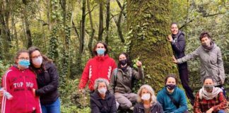 Movimento Viver o Concelho aposta em projetos solidários e sustentáveis