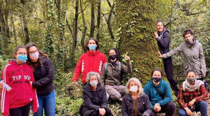 Movimento Viver o Concelho aposta em projetos solidários e sustentáveis