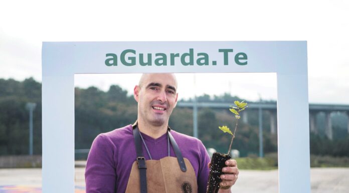 Plantar árvores como mensagem de esperança face à pandemia