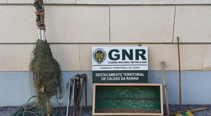 Apreendido material usado na captura ilegal de aves em Peniche
