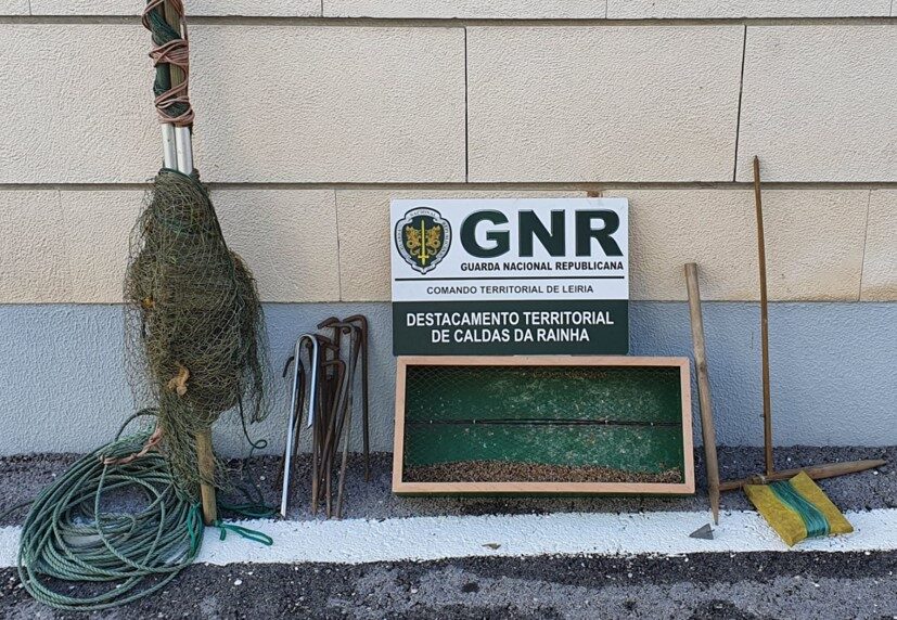 Apreendido material usado na captura ilegal de aves em Peniche