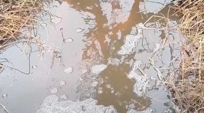 GNR identifica descarga ilegal de resíduos no rio Arnóia nos Amiais