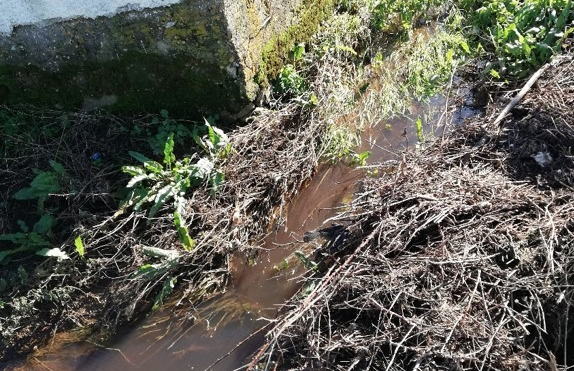 GNR deteta descarga ilegal de resíduos em Alcobaça