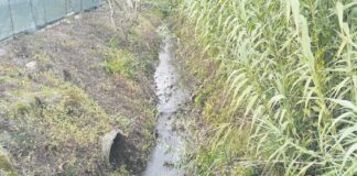 GNR deteta descarga ilegal de resíduos no Rio Tornada