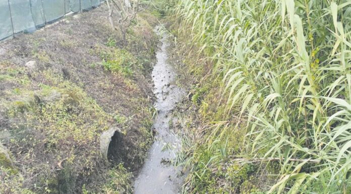 GNR deteta descarga ilegal de resíduos no Rio Tornada