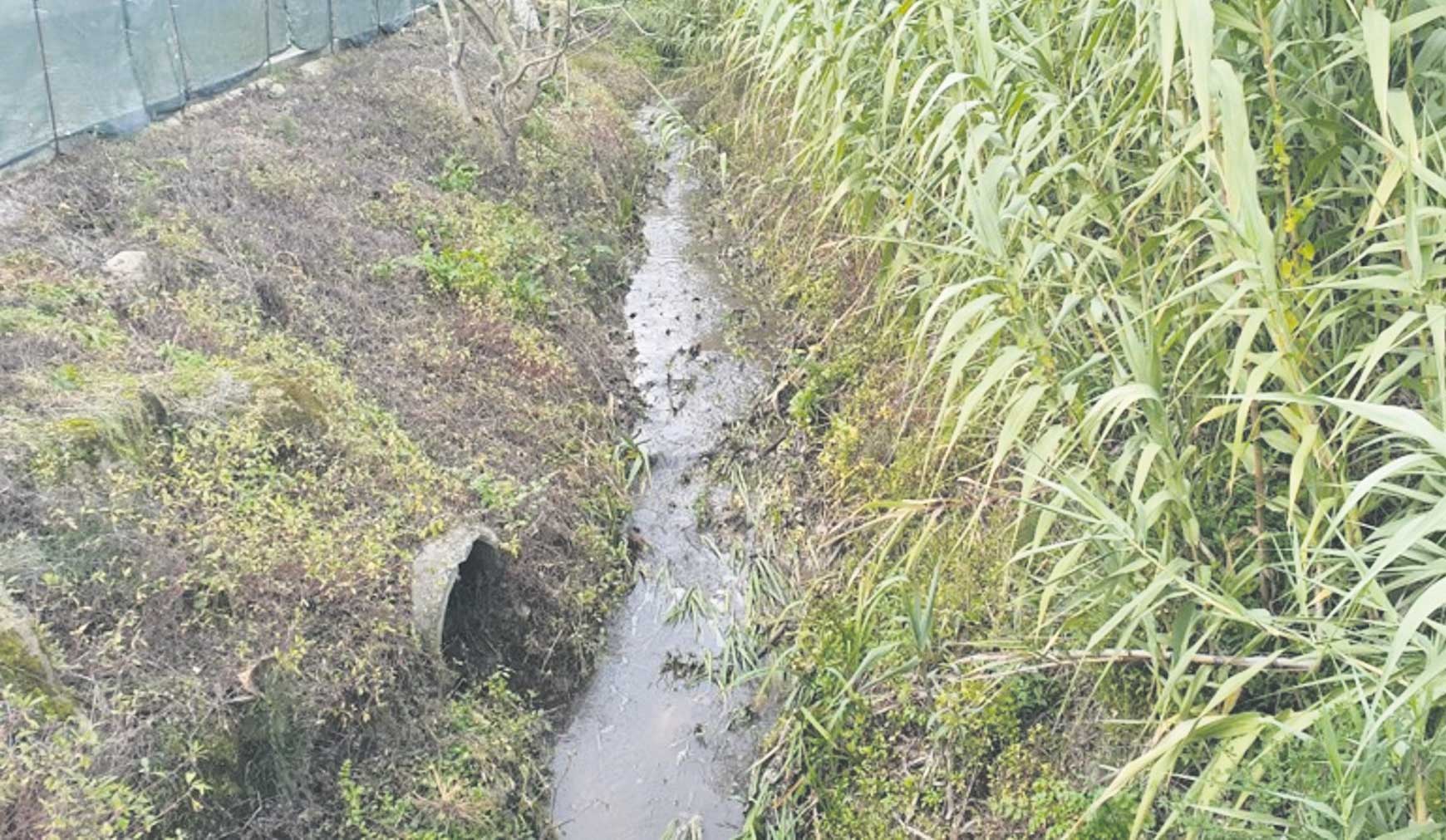 GNR deteta descarga ilegal de resíduos no Rio Tornada